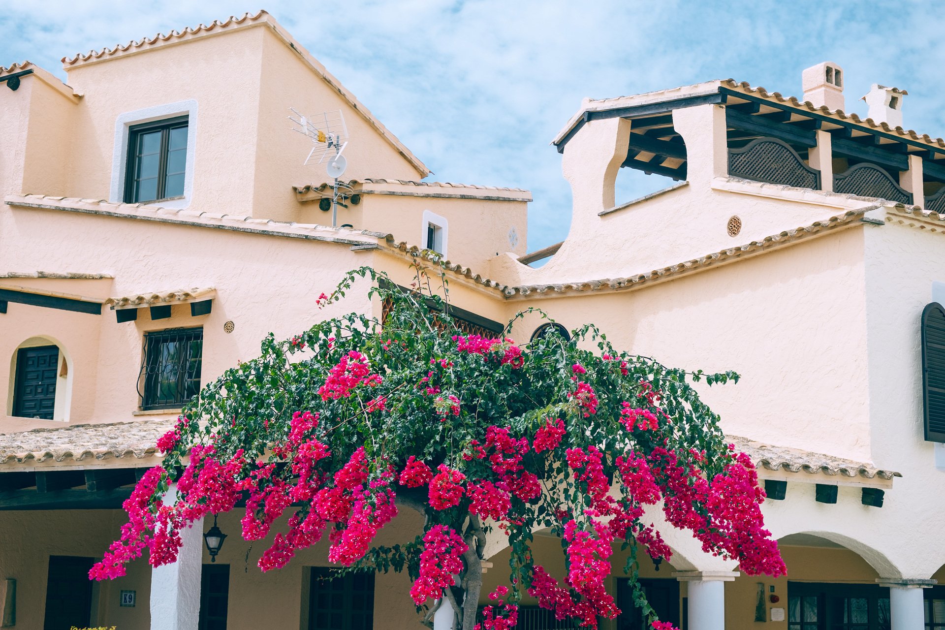 Edificio de fachadas claras con tejados de teja, porches con arcos, terraza cubierta y una planta de abundantes flores rosas en primer plano.